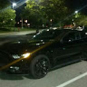 Meet your Posher, David